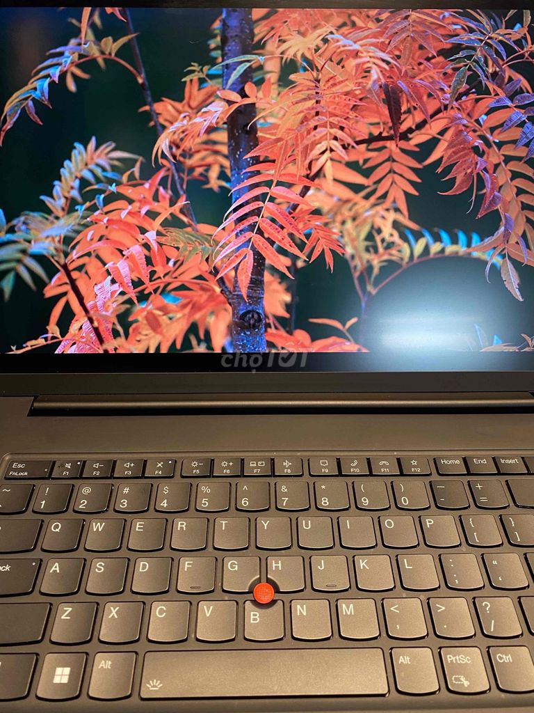 Фото 3: Lenovo ThinkPad P1 Gen 4 Xeon W-11855M