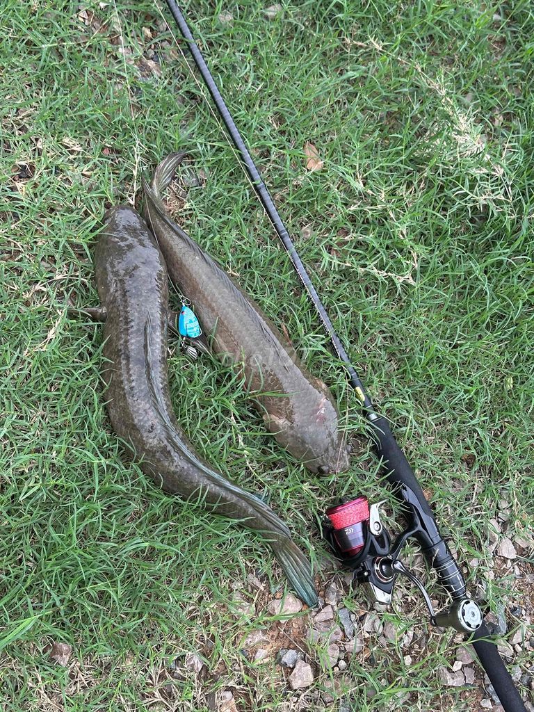 Удочка Ashino Battle Plus 2.4 м с катушкой Daiwa