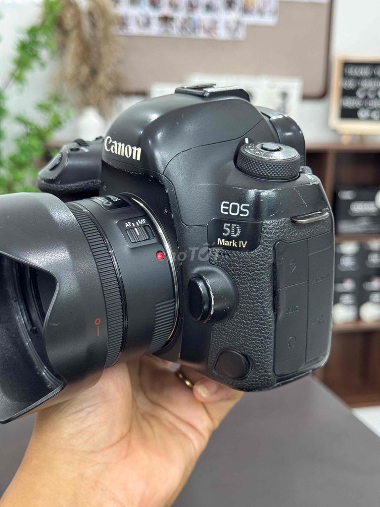 Фотоаппарат Canon 5D Mark IV + Объектив 50mm STM