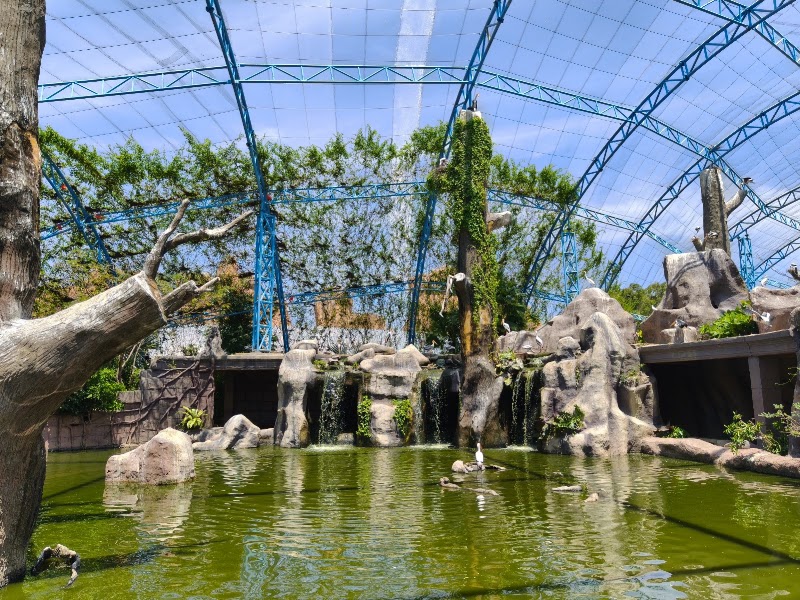 Bird World