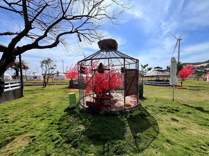 ферма «Mian FARM Bình Thuận»