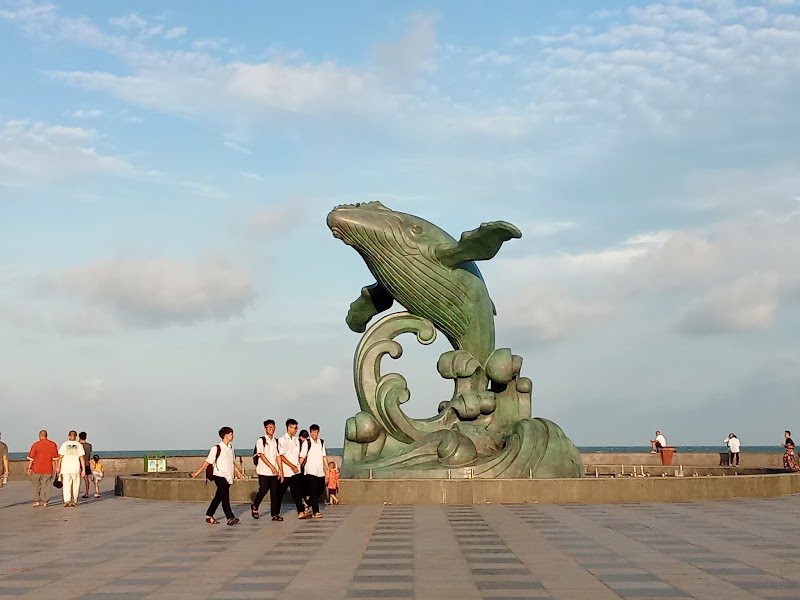 THE WHALE ICON - VUNG TAU