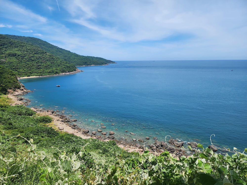 достопримечательность «Cây Sung bãi Bắc»