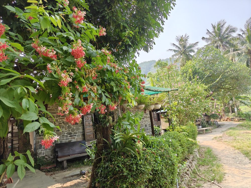 галерея «Nhà gỗ hoạ sĩ»