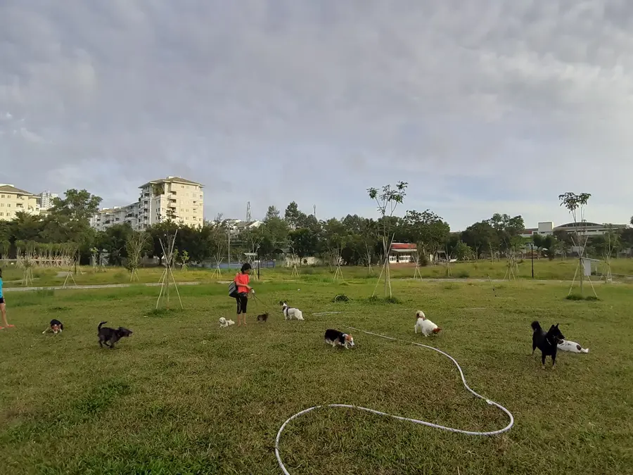 парк для собак «PMH Wild Dogs»