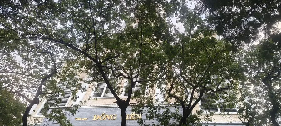 церковь «Dong Tien»