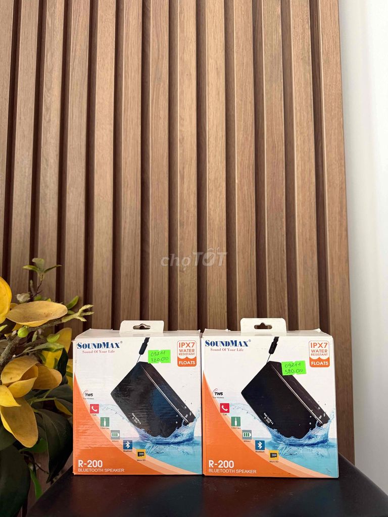 Колонка Bluetooth SoundMax R200 Черная, водонепроницаемая IPX7