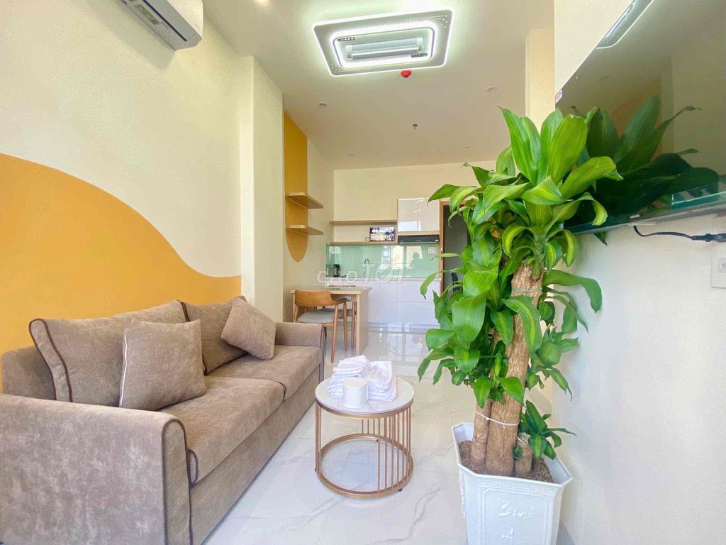 Фото 3: СДАЕТСЯ АРЕНДА КВАРТИРА 1 СПАЛЬНЯ У МОРЯ - ШОНТРА