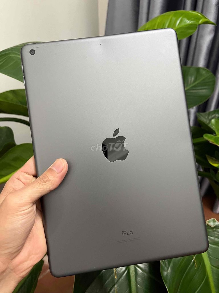 Apple iPad Gen 7 10.5 inch Серый 32GB 99%