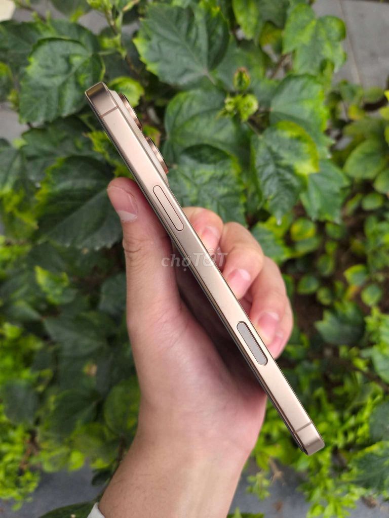 Фото 2: Apple iPhone 16 Pro 128Gb Пустынный золотой