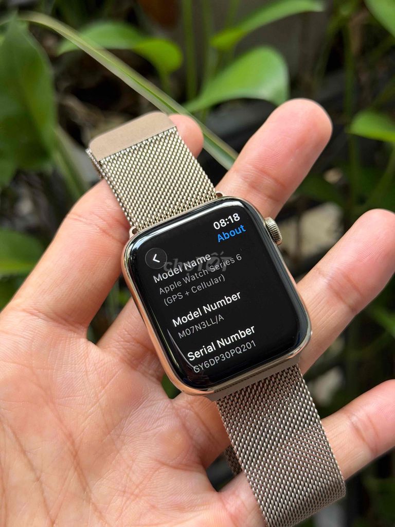 Apple Watch Series 6 Сталь Gold 44MM GPS + LTE Батарея 100%