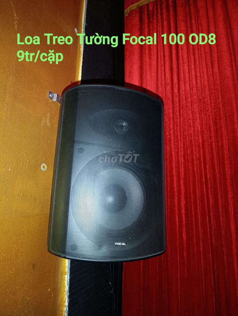 Настенные колонки Focal 100 OD8 черные