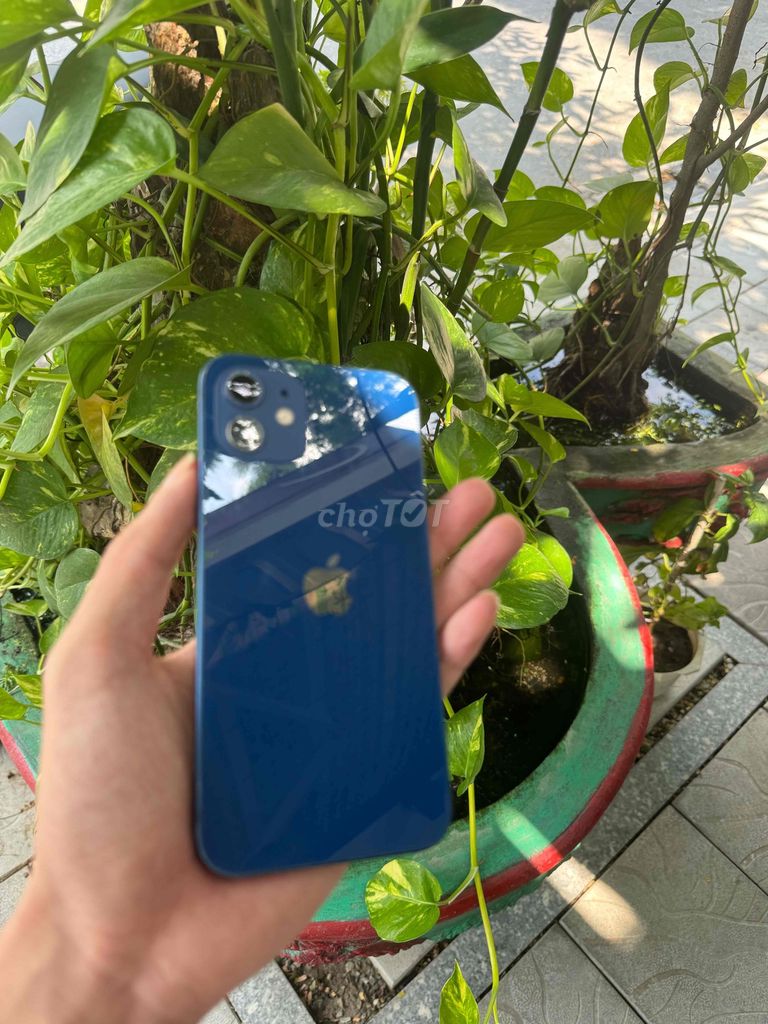Фото 3: Apple iPhone 12T 128GB синий