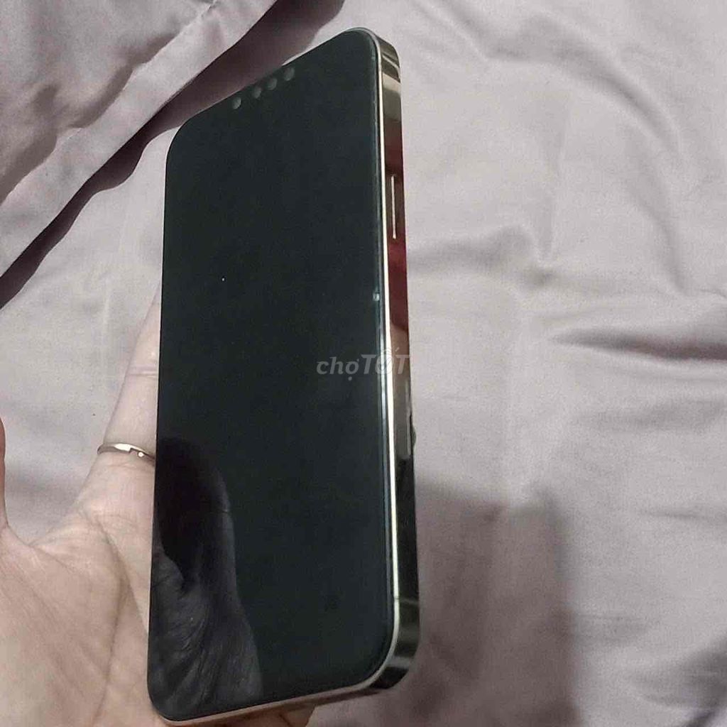 Фото 2: iPhone 13 Pro Max золотой 256 ГБ