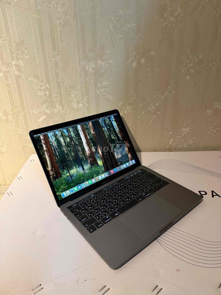 Фото 3: Macbook Pro 2019 i5 13 inch 8GB/256GB