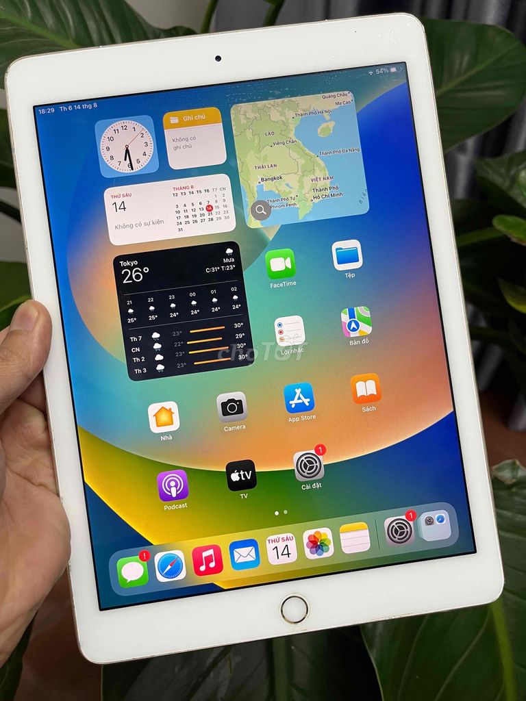 Фото 3: Apple iPad Pro 9.7 inch 32GB WiFi + 4G, màu vàng