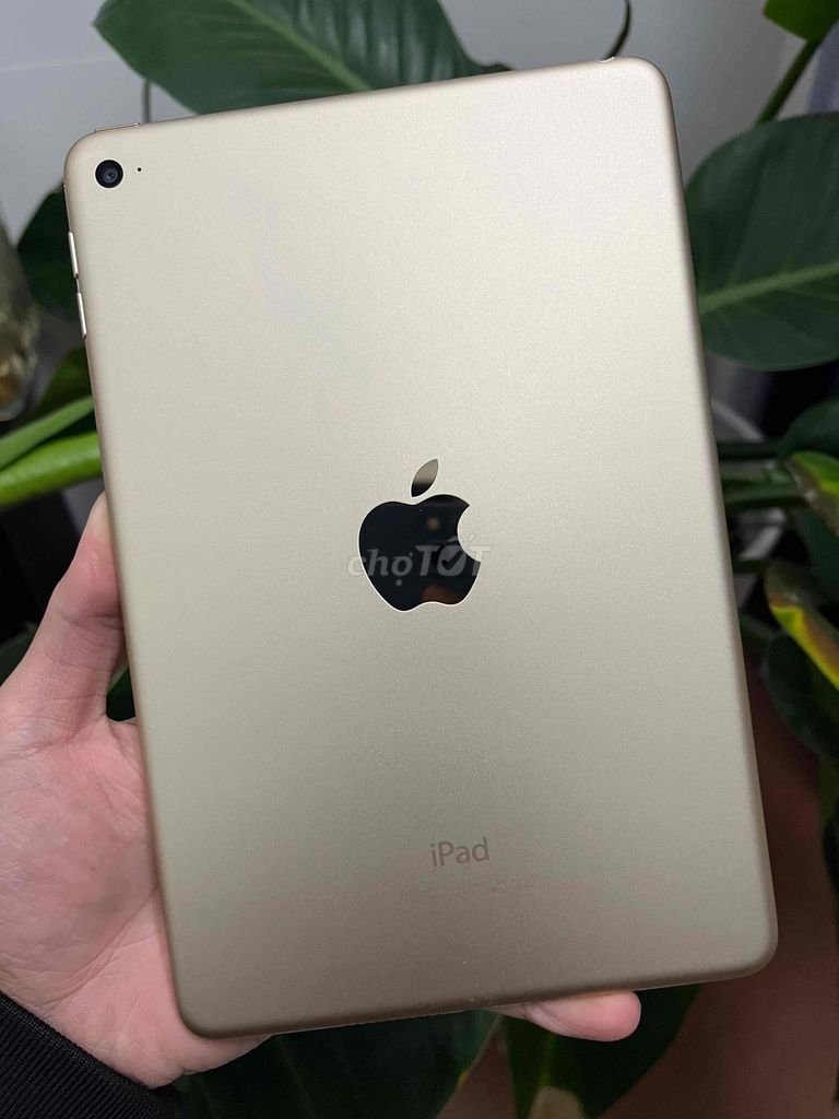 Фото 3: Apple iPad mini 4 16GB золотистый 99% полный комплект