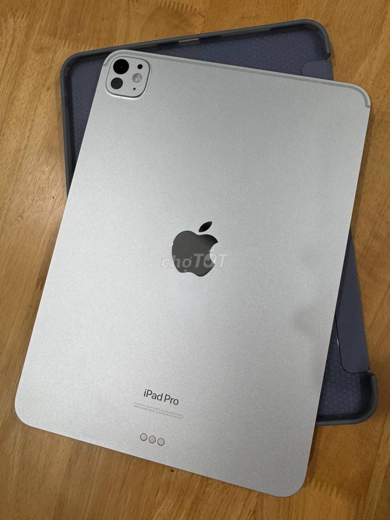 Apple iPad Pro 11 inch M4 256GB серебристый