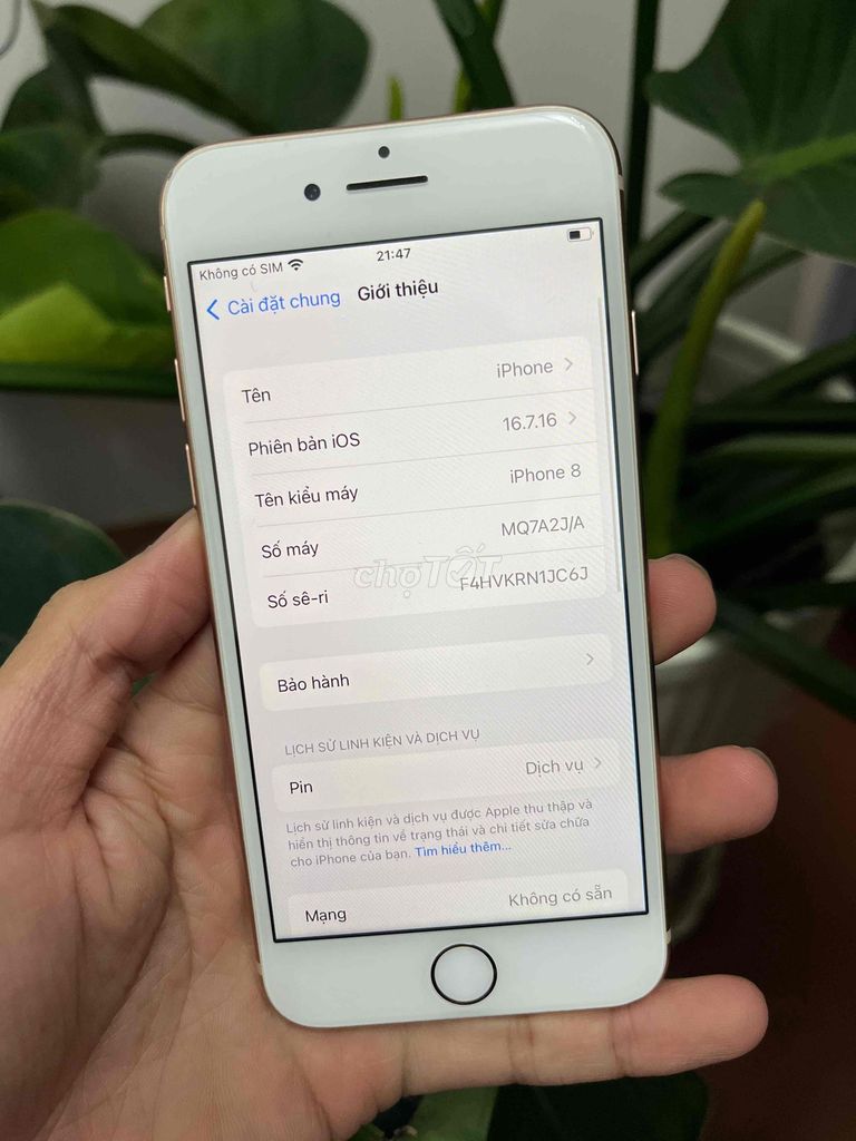 Фото 2: iPhone 8 32GB Золотистый отличный