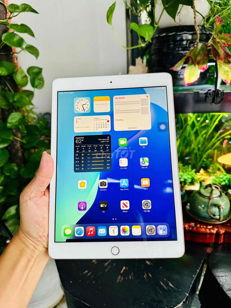 Apple iPad Gen 7 128GB золотой 10.2 дюйма, оригинальный, красивый