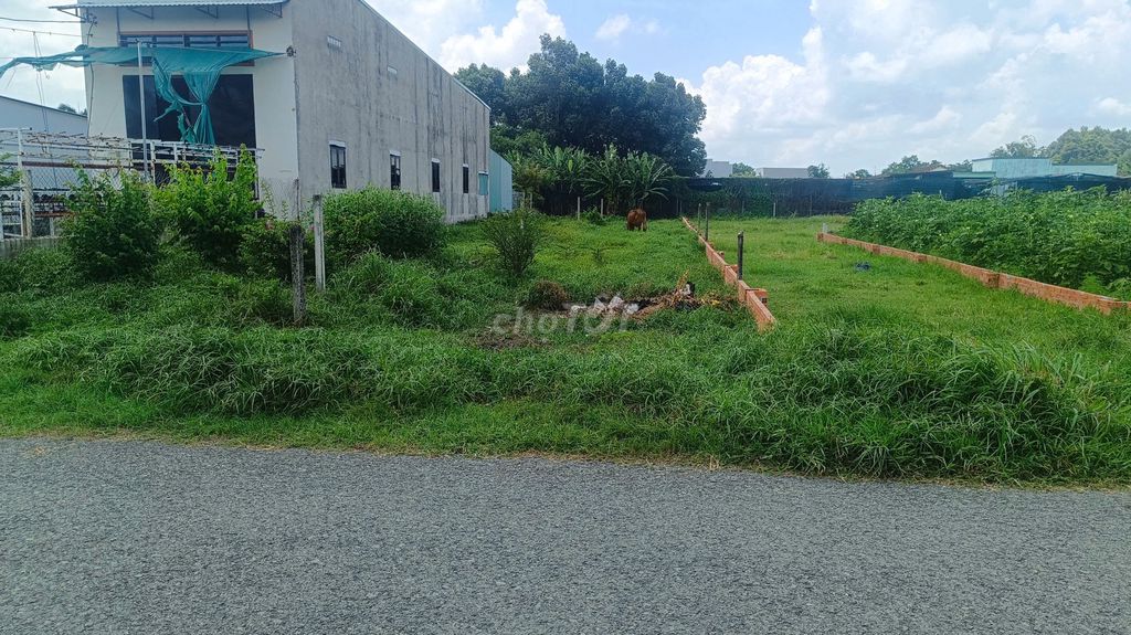 Фото 3: СРОЧНО ПРОДАЮ землю в новом районе Tân An Hội, улица Ba Sa 5x25=128м², жилая земля