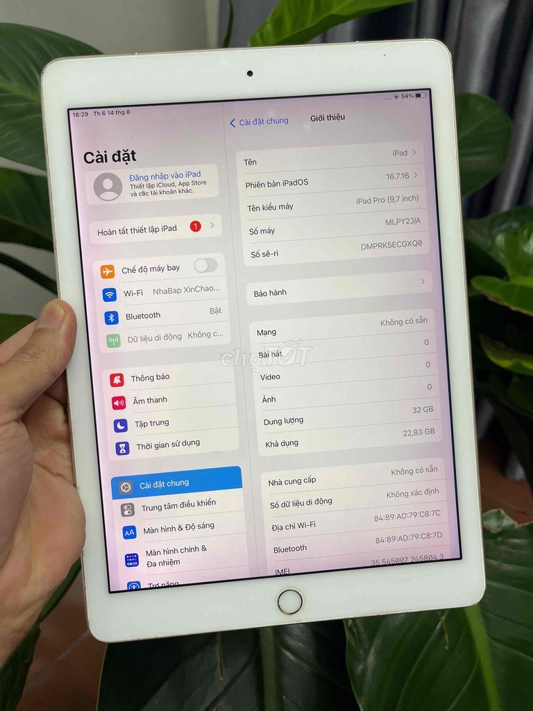 Фото 2: Apple iPad Pro 9.7 inch 32GB WiFi + 4G, màu vàng