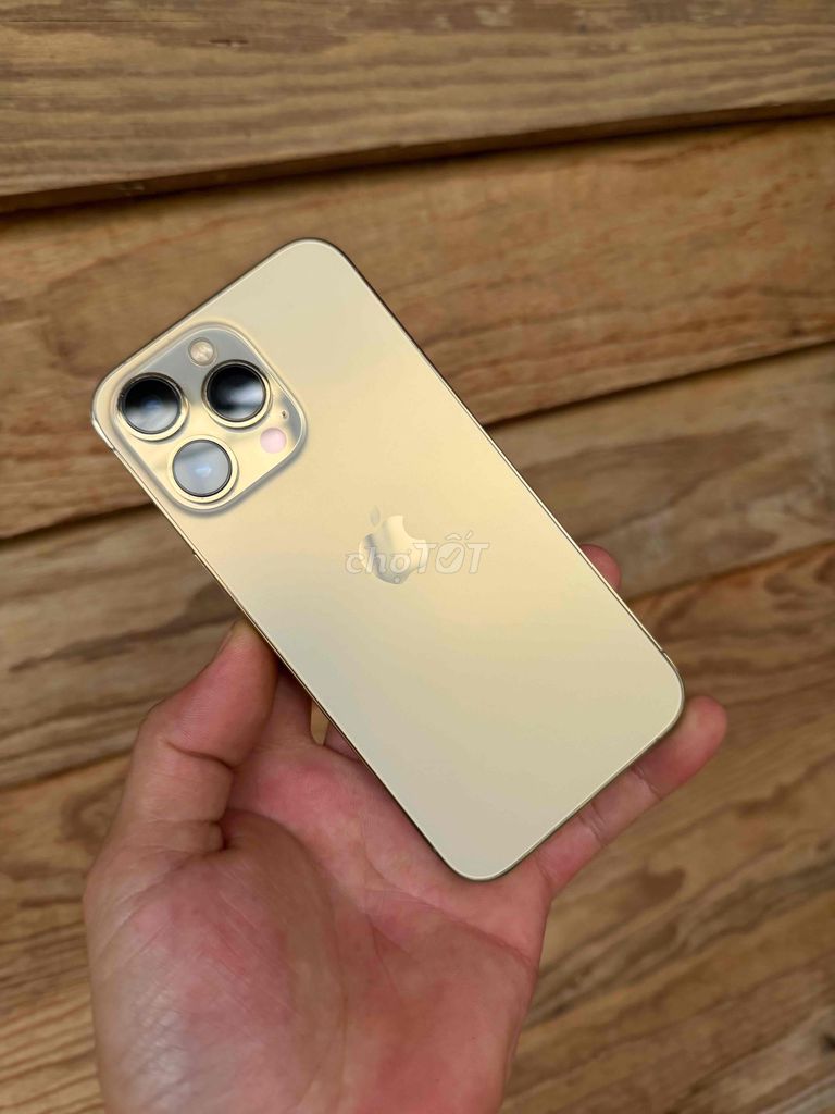 iPhone 13 Pro 256GB Золотой