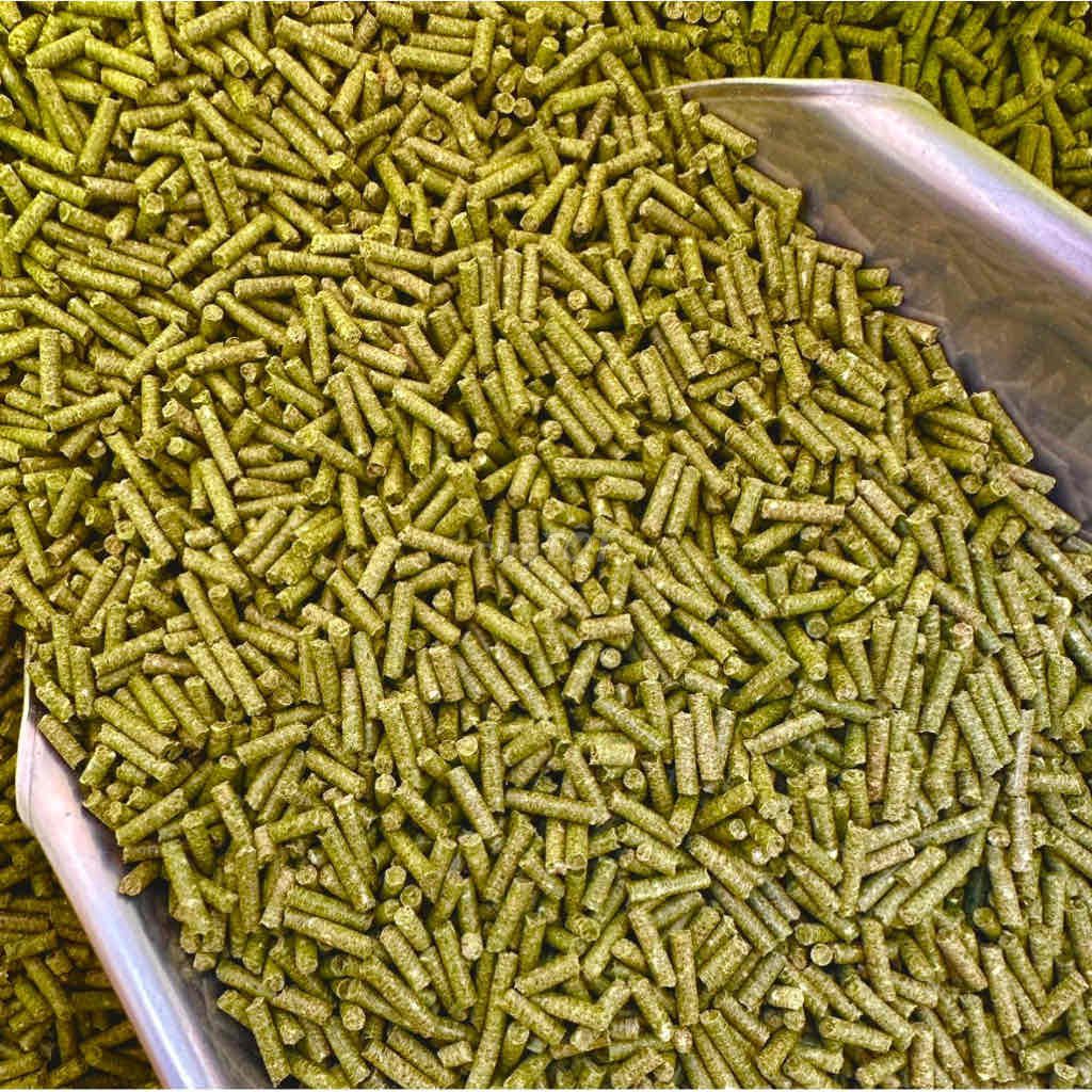 Распродажа 10 кг прессованного сена Alfalfa
