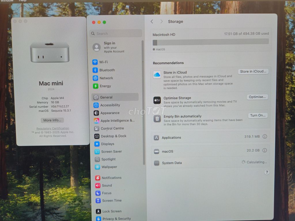 Фото 3: Apple Mac mini M4 16GB/512GB Серебристый
