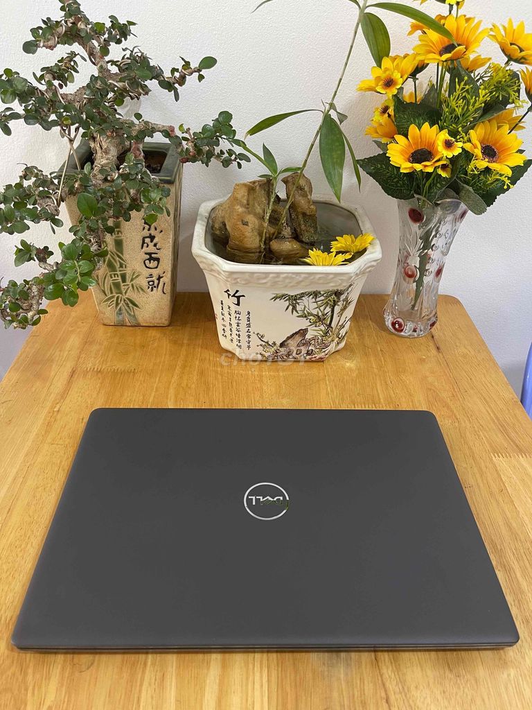 Dell Latitude 3510 i5 10-го поколения 15.6 дюймов 8ГБ/256ГБ