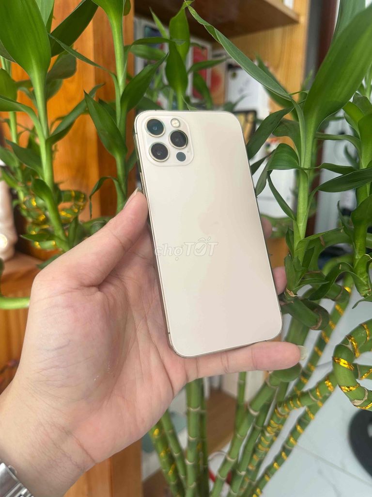 Apple iPhone 12 Pro 256GB Gold, б/у