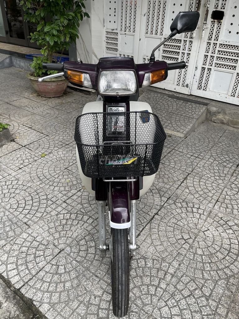 Honda Dream Thai 1998 Бело-фиолетовый