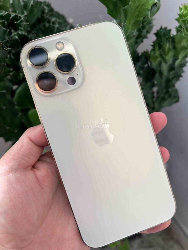 Apple iPhone 13 Pro Max 128GB Золотой