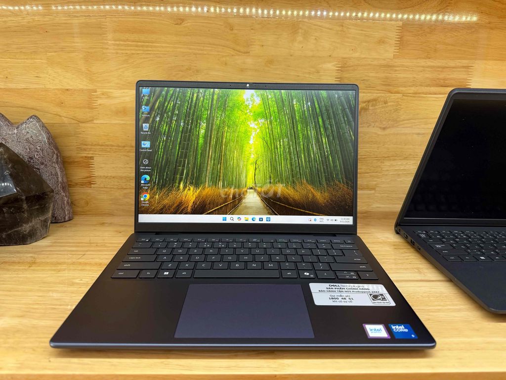 Фото 2: Dell Pro 14 Essential PV14250 Серый 16GB/512GB