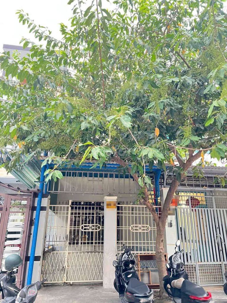 🛑 СДАЁТСЯ ДОМ, УЛИЦА TRẦN KHÁNH DƯ — 3 спальни — 2 санузла — 10 млн