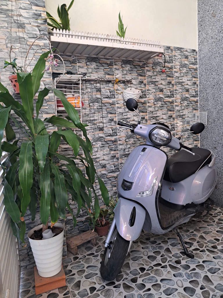 Espero Diamond Pro 50cc для юношей и девушек, бензиновый