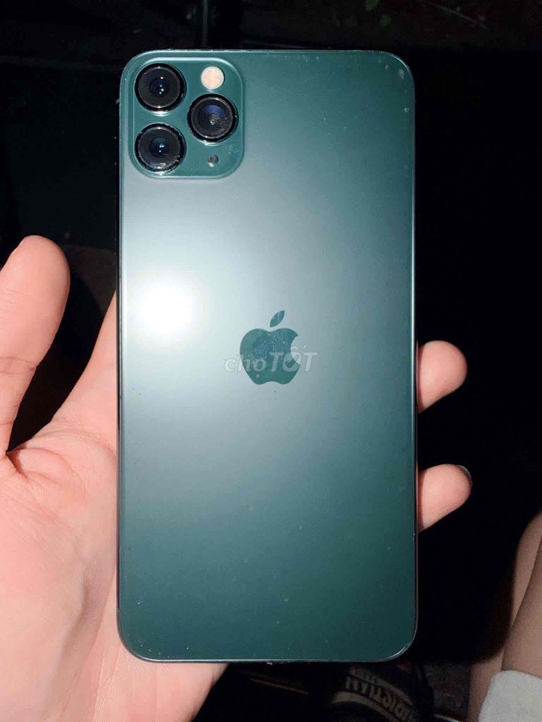 Apple iPhone 11 Pro Max зеленый мох