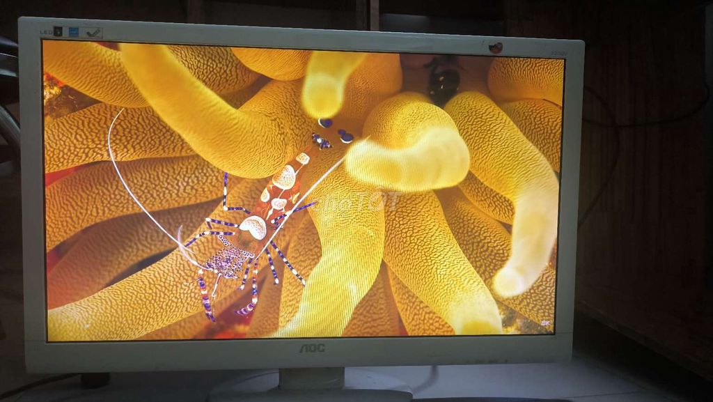 Монитор AOC E2752V 27 дюймов Full HD, б/у