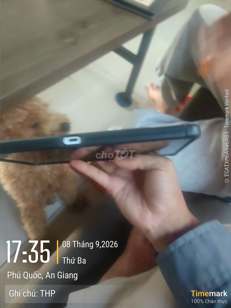 Lenovo Legion Gen 3 12ГБ/256ГБ с аксессуарами