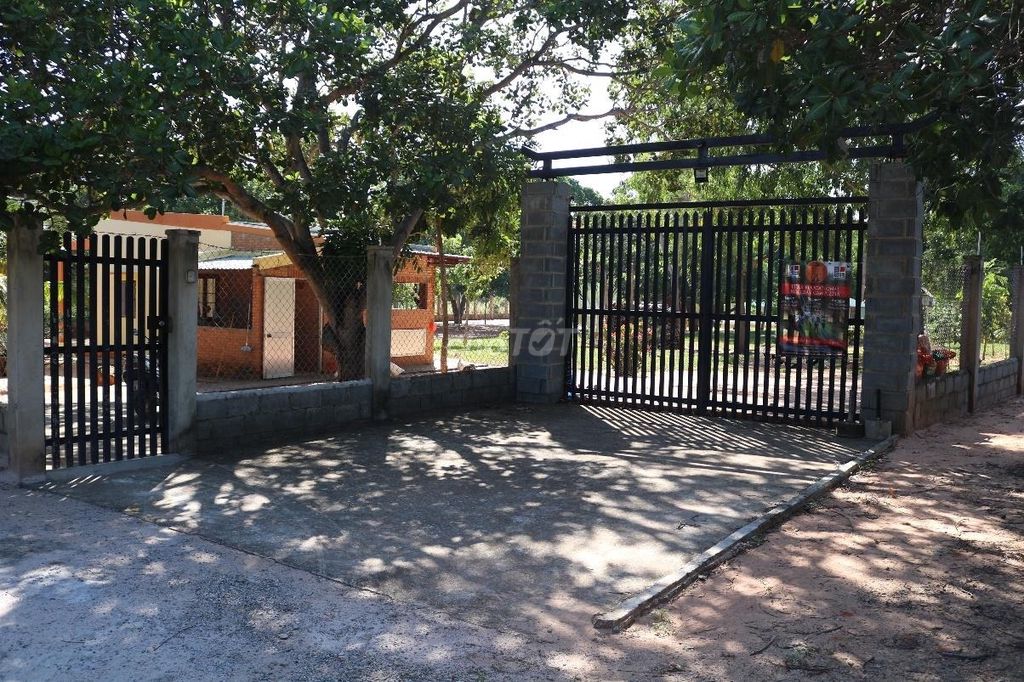 СОБСТВЕННИК ПРОДАЕТ 1.150М² ЗЕМЛИ В МУЙНЕ, ДОКУМЕНТЫ ПОЛНЫЕ