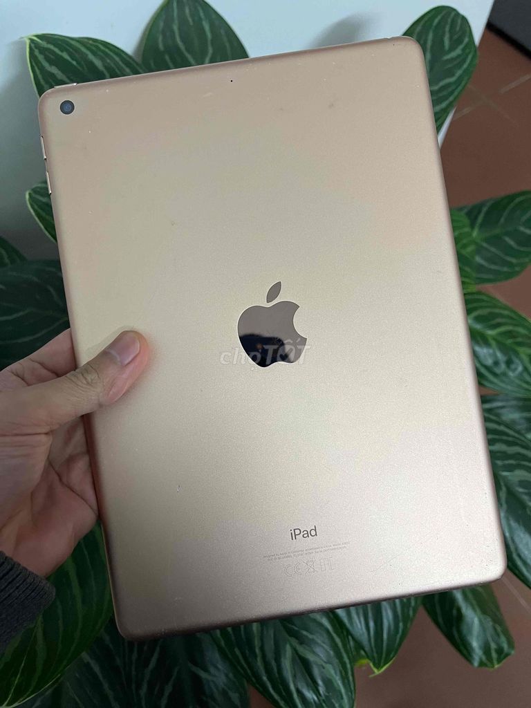 Apple iPad Gen 6 32GB Золотой 9.7 дюймов