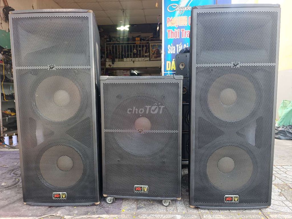 Колонка Peavey RX 22 Black 500W