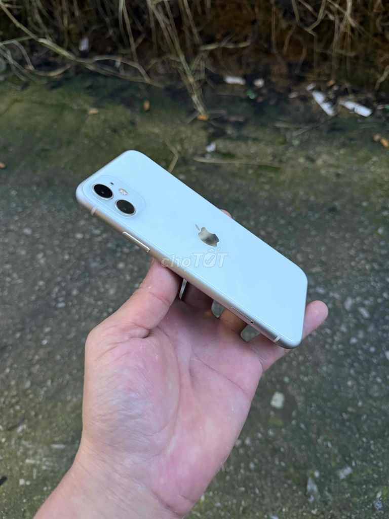 Фото 3: iPhone 11 64GB Белый