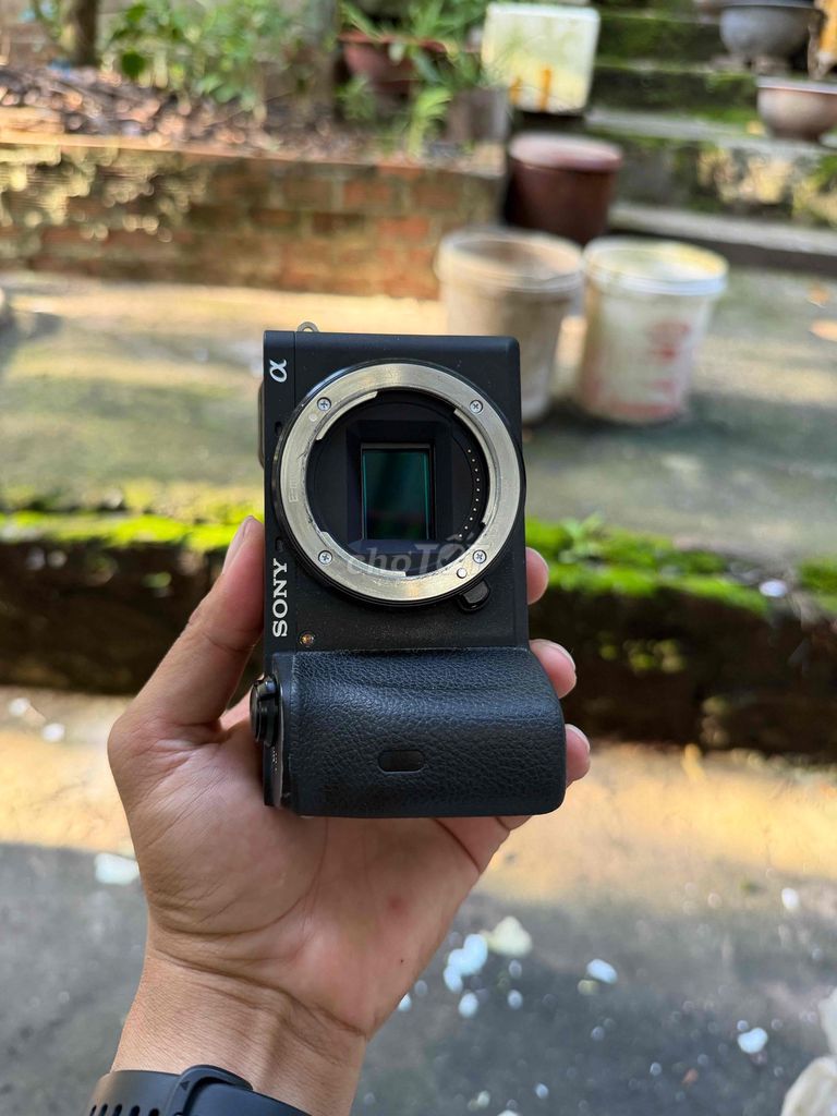 Sony A6600 и Sigma 18-50