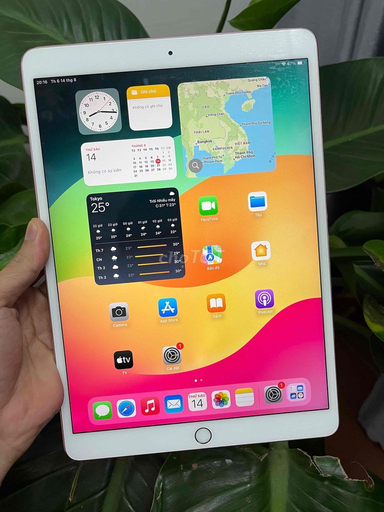 Фото 3: iPad Pro 10.5 inch 64GB розовое золото