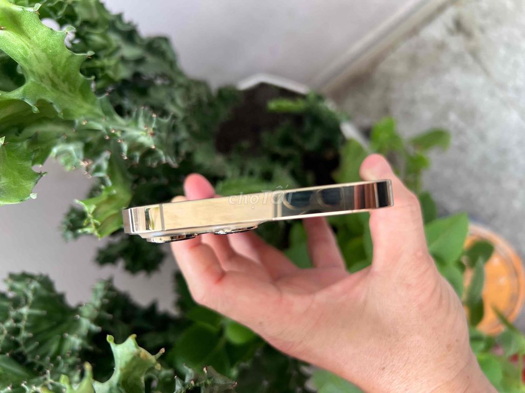 Фото 3: Apple iPhone 13 Pro Max 128GB Золотой