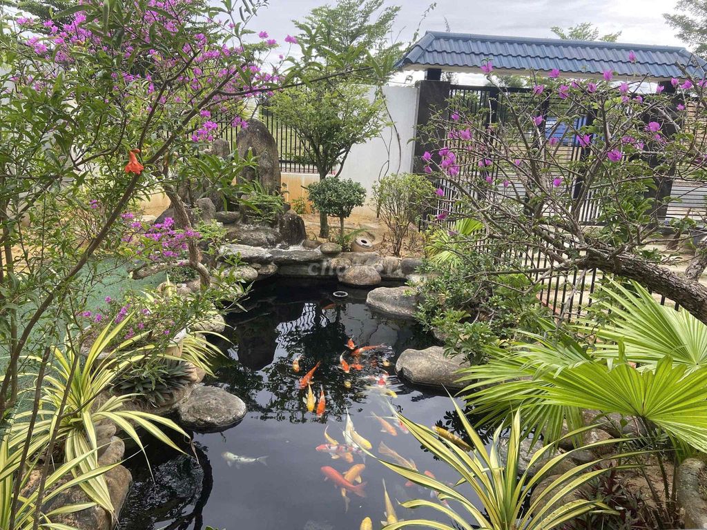Фото 2: NC - CHO THUÊ VILLA SÂN VƯỜN 2PN KHU HOÀ QUÝ