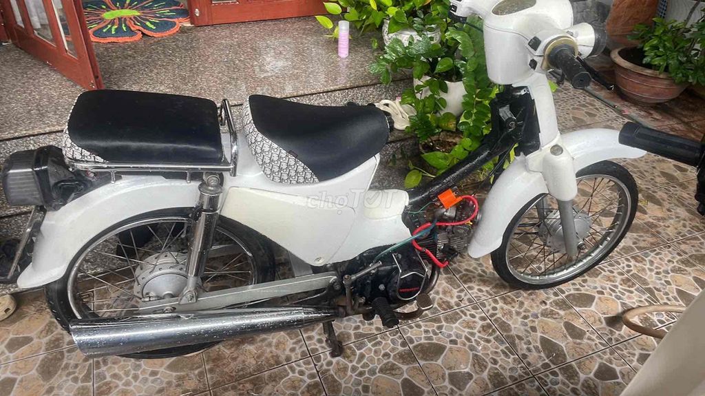 Honda Wave Alpha 2024 Белый
