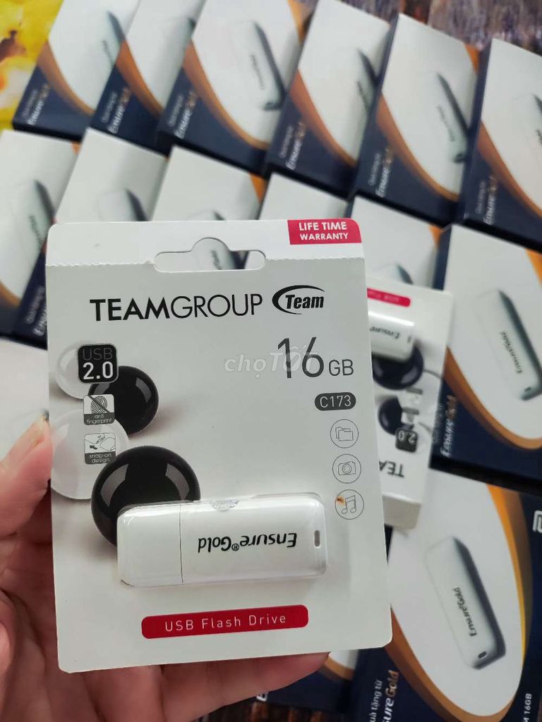USB TeamGroup 16GB Белый USB 2.0