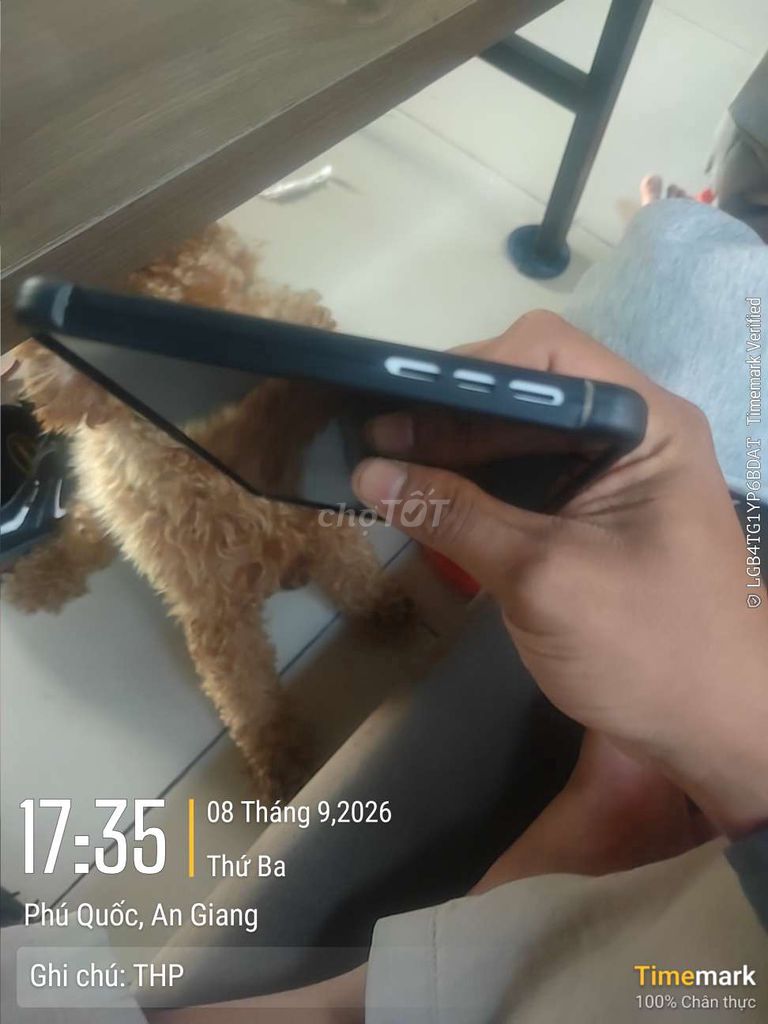 Фото 2: Lenovo Legion Gen 3 12ГБ/256ГБ с аксессуарами